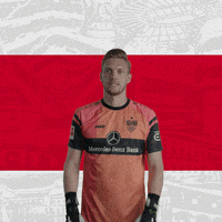 No Way Seriously GIF by VfB Stuttgart