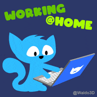 Waldo3D cat working laptop stressed GIF