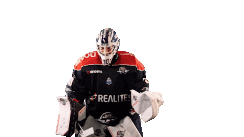 Celebration Hockey Sticker by Les Ducs d'Angers
