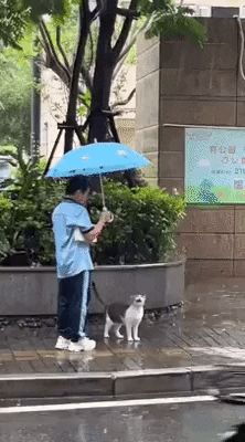 cuteanimalland giphyupload GIF