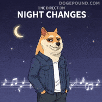One Direction Dog GIF by Doge Pound