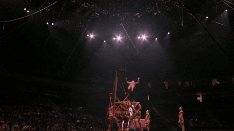 Trick Circus GIF by Ringling Bros. and Barnum & Bailey