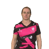 Point Step Sticker by Somerset County Cricket Club