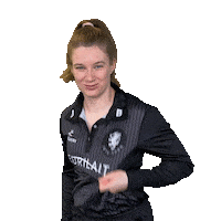 Logo Badge Sticker by Somerset County Cricket Club