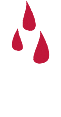 Valentines Day Love Sticker by Mindflowers