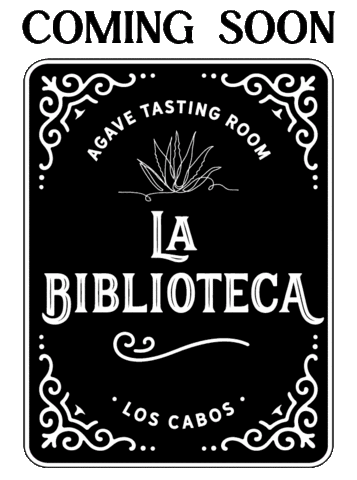 Labiblioteca Sticker by Hiltonloscabos