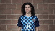 Usl Championship Sport GIF by Indy Eleven