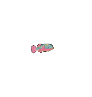Kugelfisch Sticker by Kugelzwei