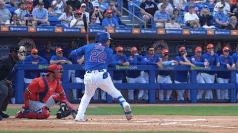 Juan Soto Baseball GIF by New York Mets