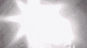 GIF by The Maury Show