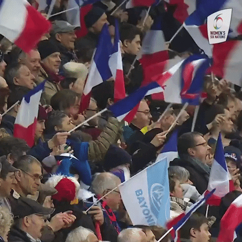 Womens6Nations fan fans womens six nations GIF