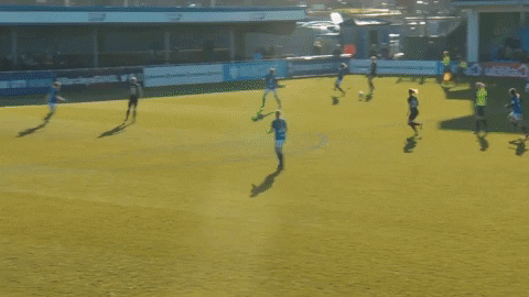 Rolineee giphyupload GIF