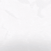 Hockey Eisbaeren GIF by Eisbären Berlin