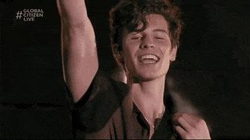 Shawn Mendes GIF by Global Citizen