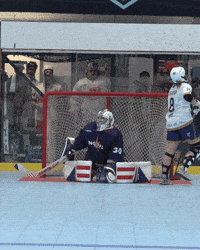 usaballhockey nbhl ballhockey GIF