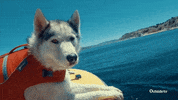 fun love GIF by Outside TV