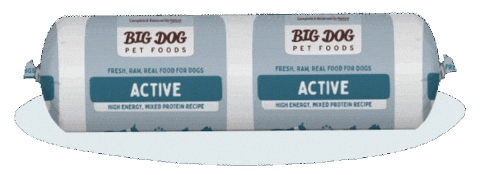 Cat Energy Sticker by Big Dog Pet Foods