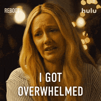 Tv Show Comedy GIF by HULU
