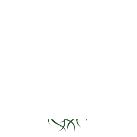 CrookedRoots giphyupload giphystickerchannel flowers florals Sticker