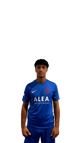 Blumenthalersvu19 Sticker by Blumenthaler SV von 1919 e.V.