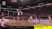 volleyball stanford GIF by NCAA Championships