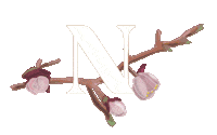 design style Sticker by Natuzzi