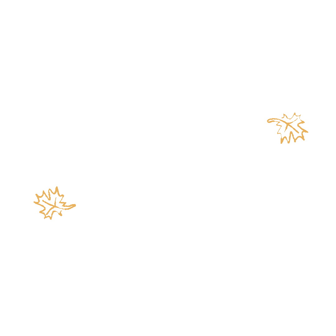 Season autumn sticker by john lewis partners