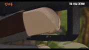 The Underdog GIF