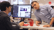 International Cat Day What GIF by BuzzFeed