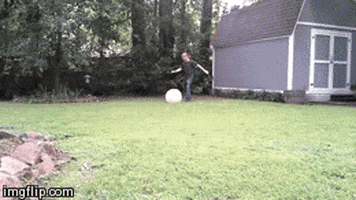 tah GIF