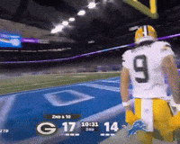 Green Bay Touchdown GIF