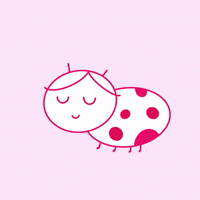 ryantoukie dance girly ladybug ladykeetle GIF