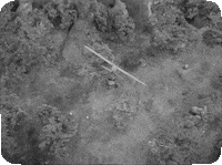 Gaslighter GIF by Dixie Chicks