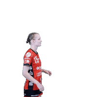 Handball Sticker by Hollenstedt-Handball