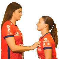 Sport Handball Sticker