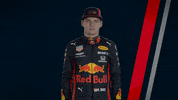 ver formula 1 GIF by Red Bull Racing