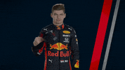 ver formula 1 GIF by Red Bull Racing