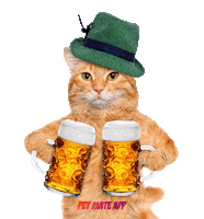 Cat Beer Sticker by petmate
