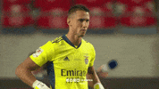 Sl Benfica Slbgif GIF by Sport Lisboa e Benfica