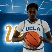 Book Go Bruins GIF by UCLAMBB