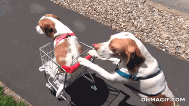 store need GIF