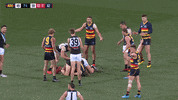 round 20 afl GIF by Adelaide Crows