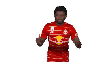 Red Bull Dancing Sticker by FC Red Bull Salzburg