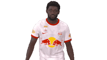 Te Amo Kisses Sticker by FC Red Bull Salzburg