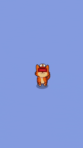 Cyclopio giphyupload love cat meme GIF