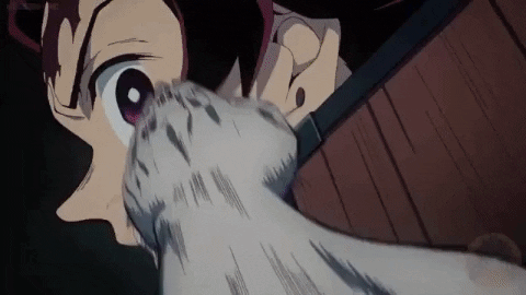 amuffs giphygifmaker nezuko demonslayer havingback GIF