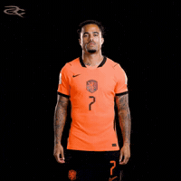 Fifa World Cup Uefa GIF by Respective
