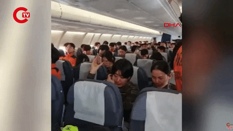 yj_jane giphyupload GIF