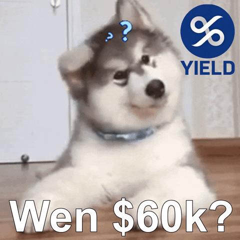 60K Crypto Dog GIF by YIELD