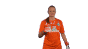 Emotion Keeper Sticker by SV Werder Bremen